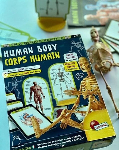 I'm a Genius Human Body - LISCIANI