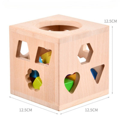 Montessori Shape Sorting Box with 12 Geometric Blocks