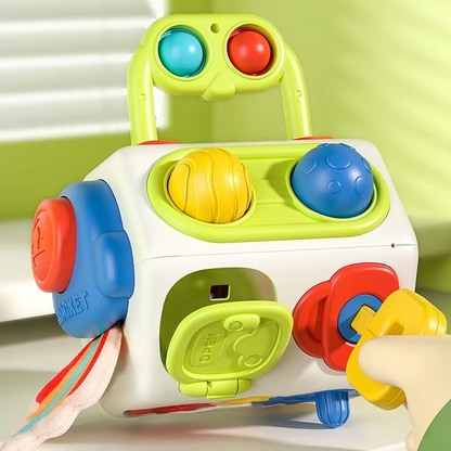 Busy Cube for Curious Minds