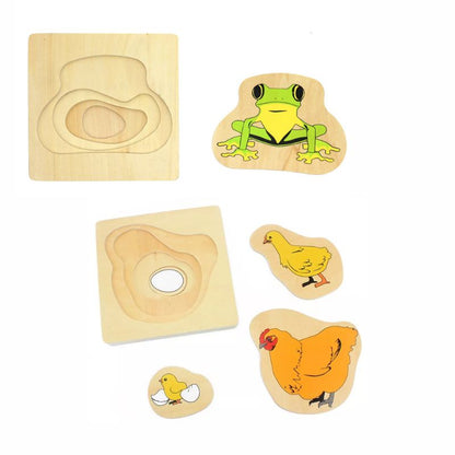 Montessori Animal Life Cycle Layer Puzzles
