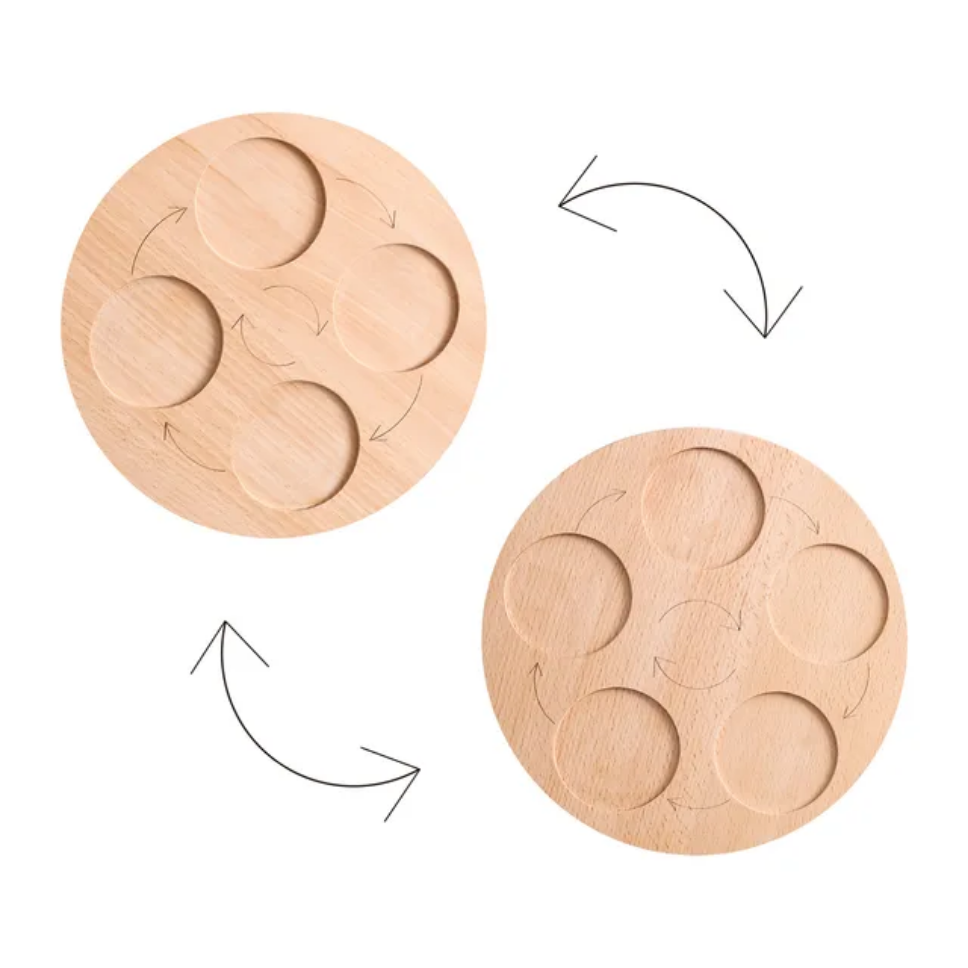 Montessori Wooden Life Cycle Toy