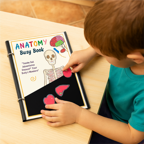 Human Anatomy Busy Book