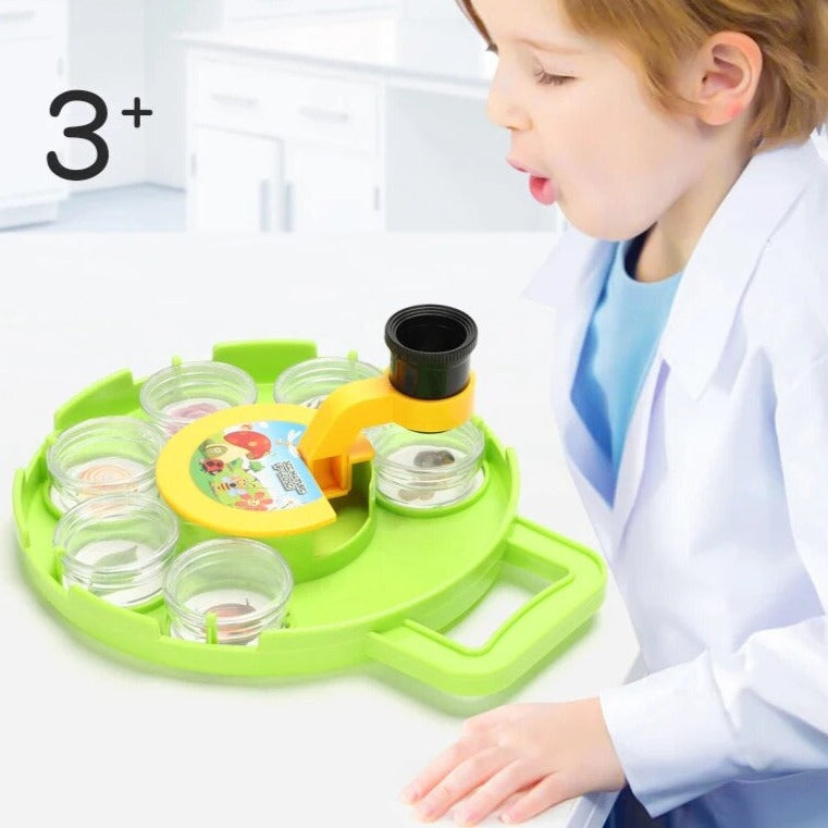 Insect Observation Box™ - Verzamel en verken - Insectenkijker