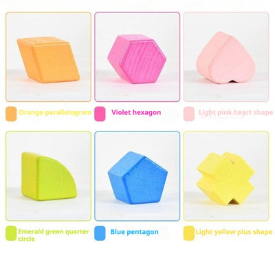 Montessori Shape Sorting Box with 12 Geometric Blocks