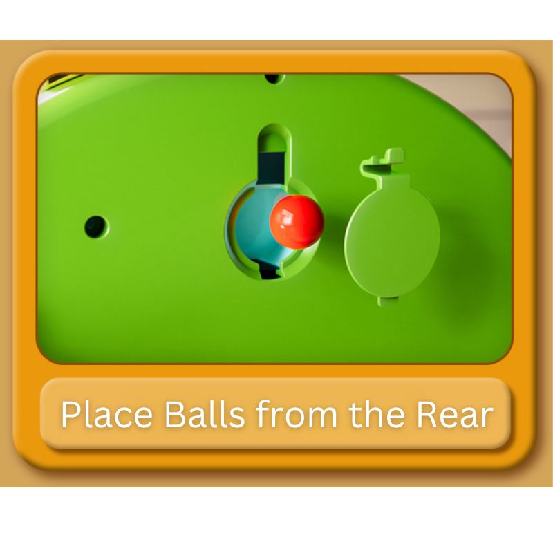 Dino Ball Catch Adventure