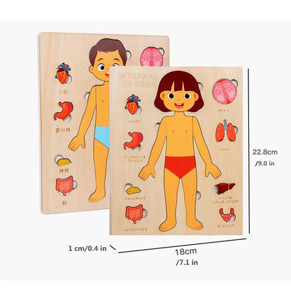 Wooden Montessori Human Body Puzzle - Educational Learning Toy for Kids
