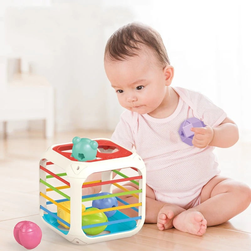 2 in 1 Shape Stacking and Sorting Box - 899
