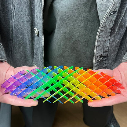 Rainbow Plastic Worm Fidget Anti Stress Shapeshifter - 856