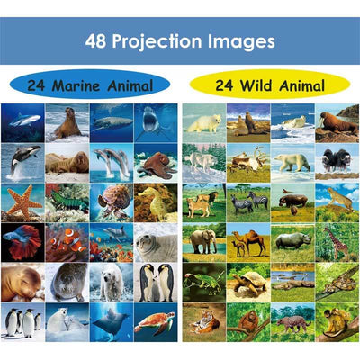 Fidtoy Kids Torch Projector Toy Animal Space Learning Light