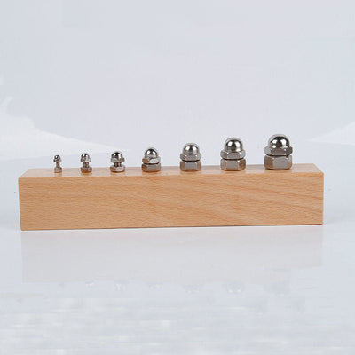Montessori Screw Nuts and Bolts