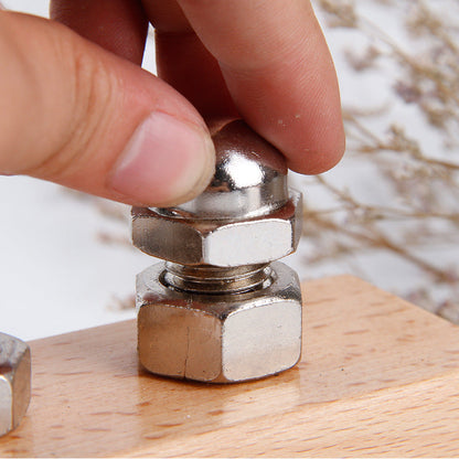 Montessori Screw Nuts and Bolts