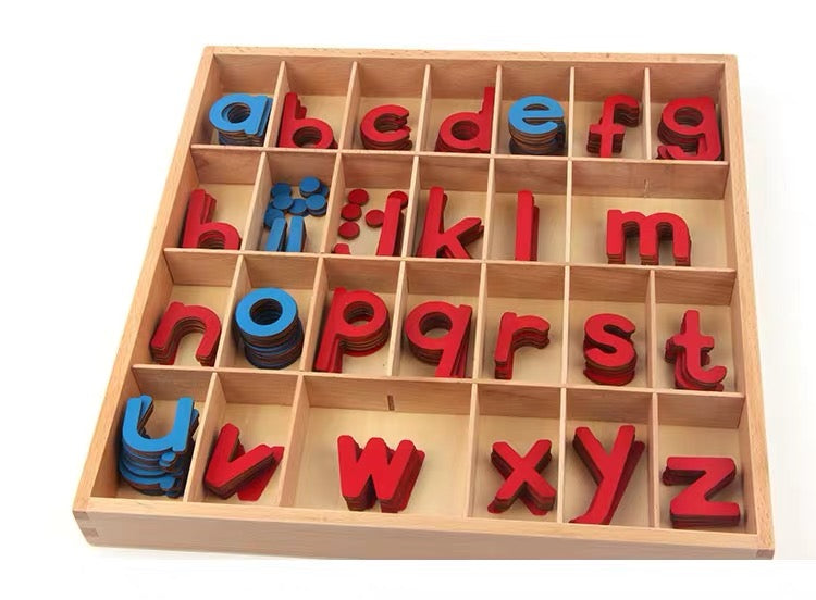 Montessori Moveable Alphabet Box 155 Alphabets included.