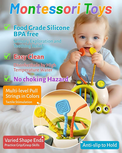 Snail Early Education Sensory Shape Sorting - 501