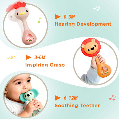 Fidtoy Baby Shaker Rattle Teether Toy Set for Newborns