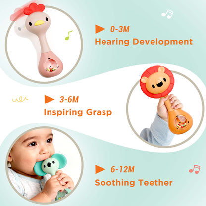 Baby Shaker Rattle Toy