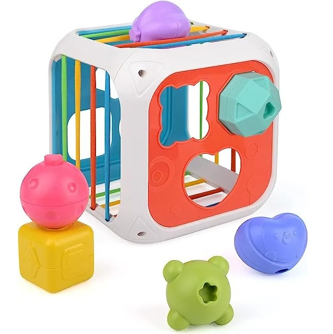 2 in 1 Shape Stacking and Sorting Box - 899