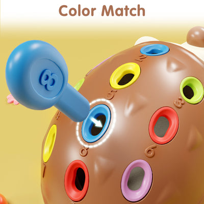 Juguete de clasificación de motricidad fina Fidtoy Hedgehog para niños pequeños