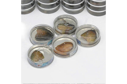 DIY Pendant with Natural Pearl Real life Arts and Craft