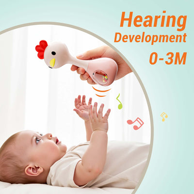 Fidtoy Baby Shaker Rattle Teether Toy Set for Newborns