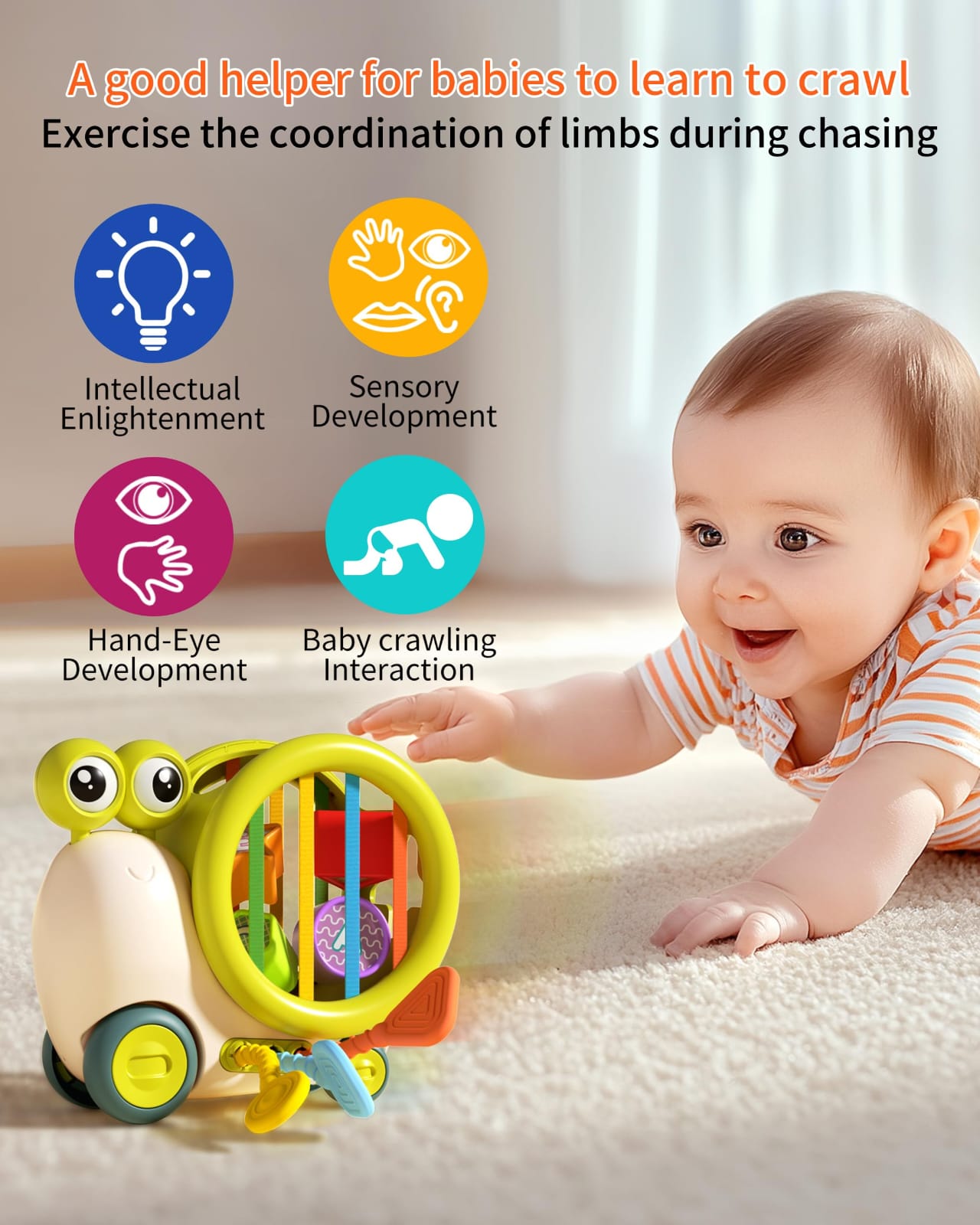 Snail Early Education Sensory Shape Sorting - 501