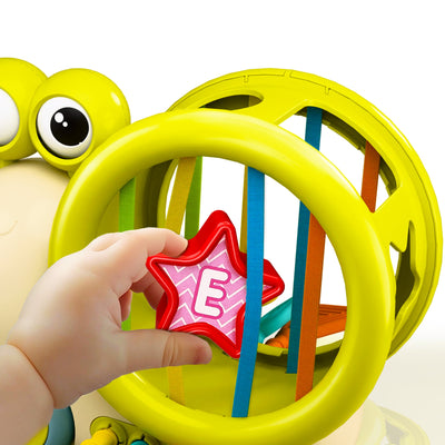 Fidtoy Juguete Clasificador de Formas de Caracol con Empuje para Bebés y Niños Pequeños
