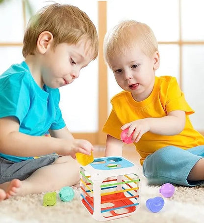 2 in 1 Shape Stacking and Sorting Box - 899