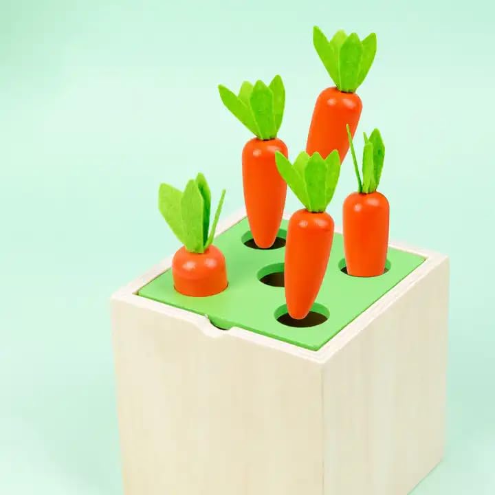 Juguete de martilleo 5 en 1