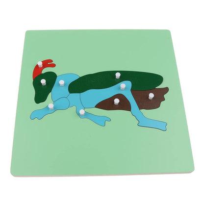 Montessori Wooden Animals Jigsaw Puzzle Panel Kids Baby Toys Ant | 1 Set Wooden Puzzle Toy