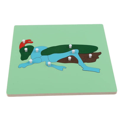 Montessori Wooden Animals Jigsaw Puzzle Panel Kids Baby Toys Ant | 1 Set Wooden Puzzle Toy