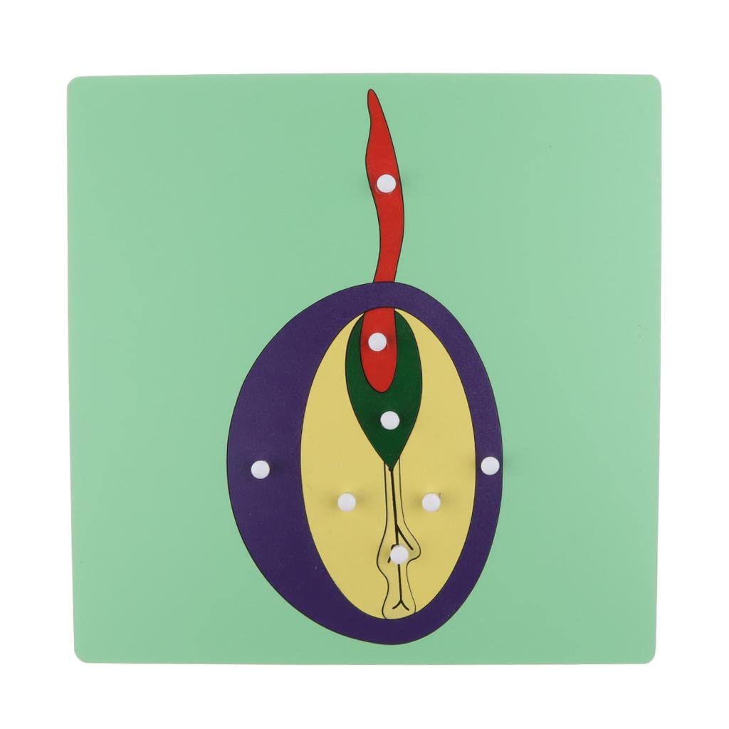 Montessori Wooden Animals Jigsaw Puzzle Panel Kids Baby Toys Germinant Seed | Educational | Other Educational Toys