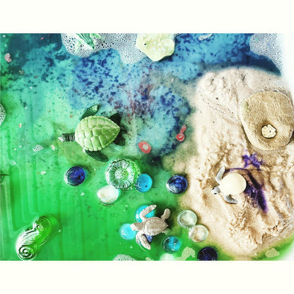 Turtle Life Cycle Toy Sea turtle Lifespan Life expectancy Model Figurines for Kindergarten