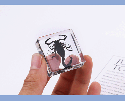 Crawling Animals Insects Bugs Resin Epoxy Blocks  Specimens Toy