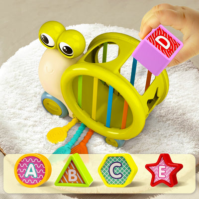 Fidtoy Juguete Clasificador de Formas de Caracol con Empuje para Bebés y Niños Pequeños
