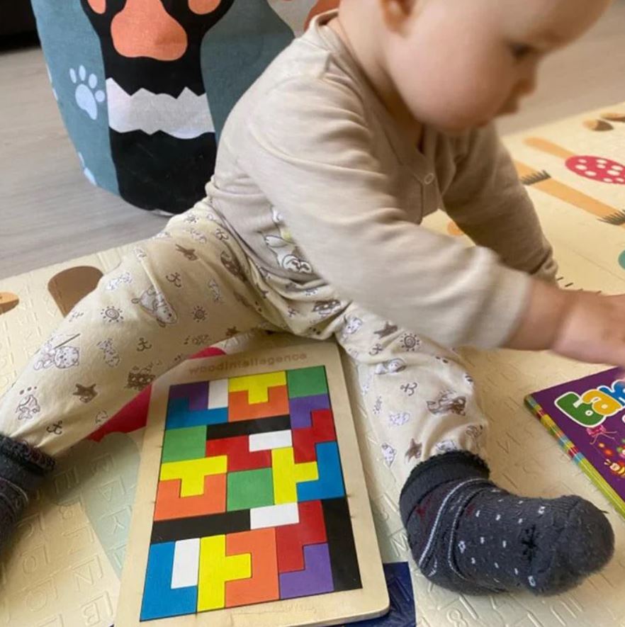 Wooden Intelligence Math Game