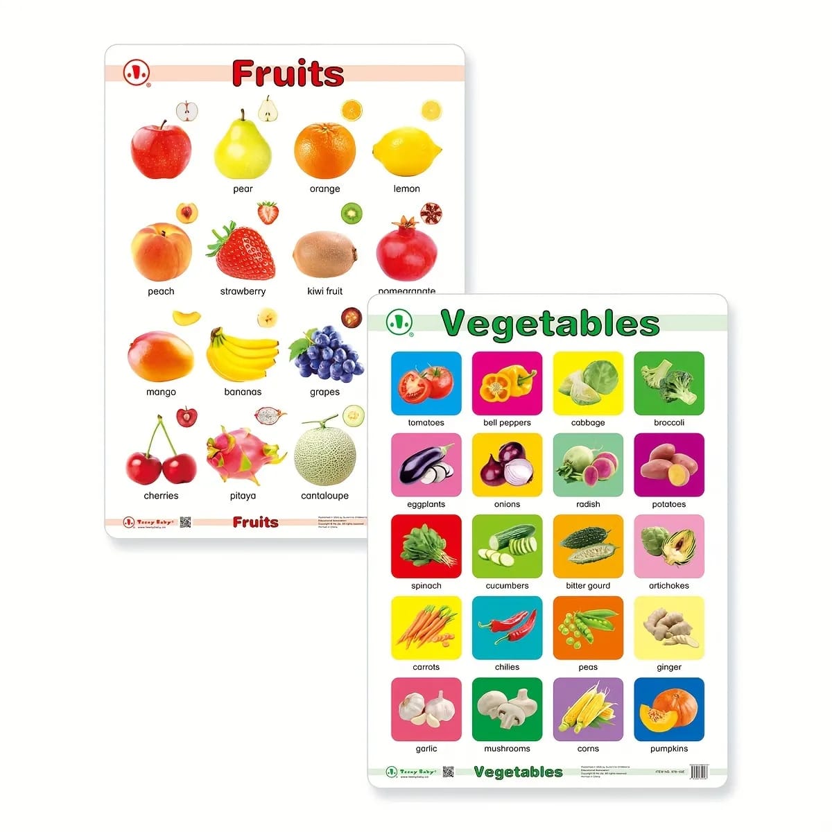 12in1 Object Recognition Education Posters with Erasable Board