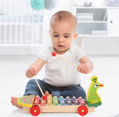 Fidtoy Peacock Shaped Xylophone Toy – Musical Toy for Kids 3+