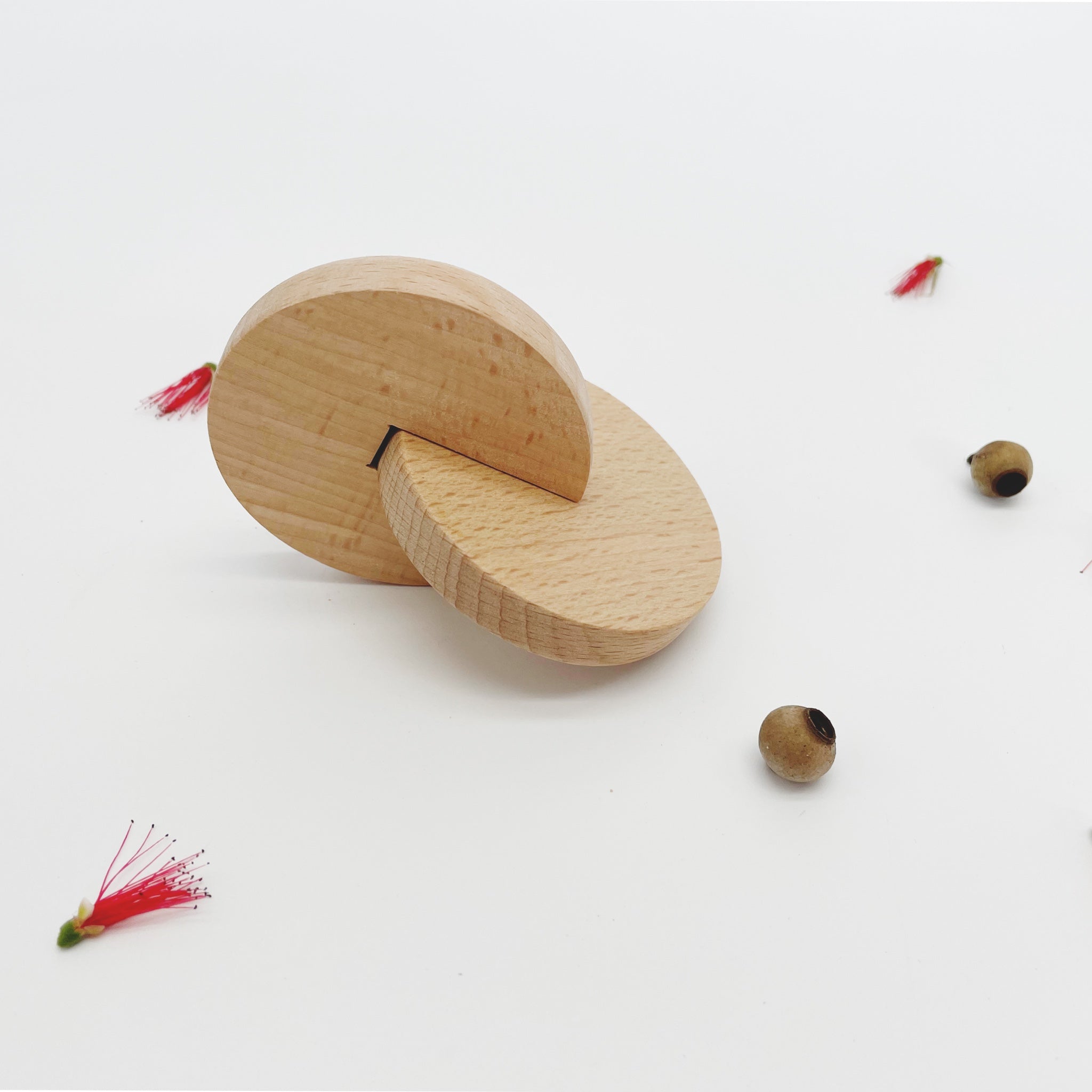 Montessori Interlock discs 2 styles