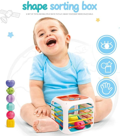 2 in 1 Shape Stacking and Sorting Box - 899