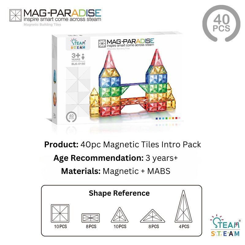 Magnetic Tiles and Marble Run Variety Packs