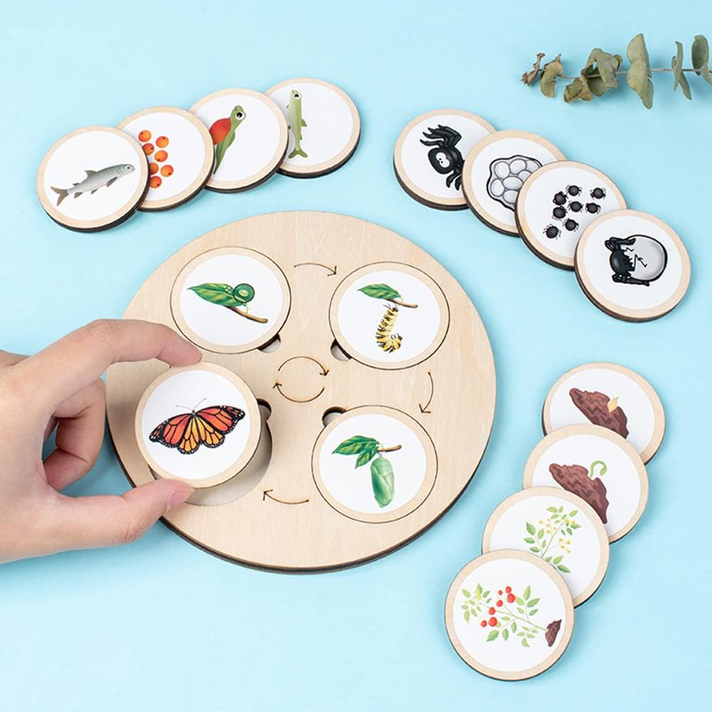 Juguete de aprendizaje Montessori sobre la naturaleza para niños Fidtoy Life Cycle Board