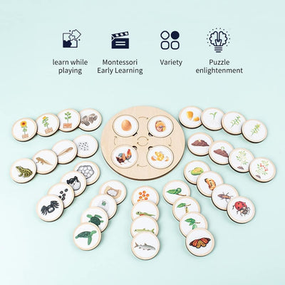 Juguete de aprendizaje Montessori sobre la naturaleza para niños Fidtoy Life Cycle Board