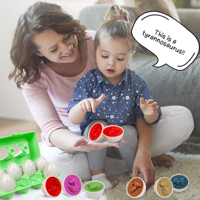 Jouet œufs Montessori