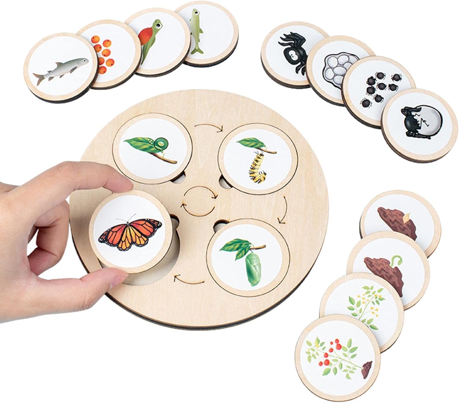 Fidtoy Nature Evolution Game – Montessori Wooden Life Cycle Board for Kids Ages 3-6