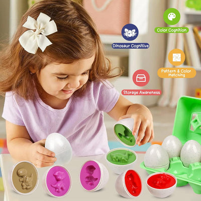 Jouet œufs Montessori