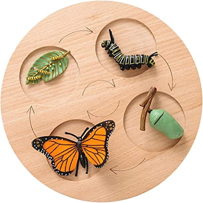 Animal Growth Cycle Tray