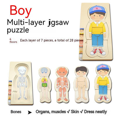 Boys' Body Structure Puzzle - Fun and Learn