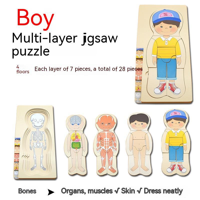 Boys' Body Structure Puzzle - Fun and Learn