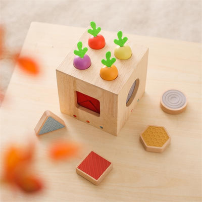 Forme géométrique en bois coulée Éveil Petite Enfance Pour Bébé Jouets Éducatifs