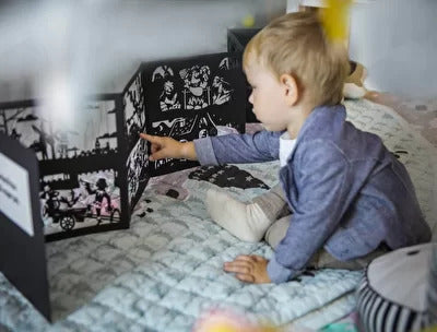 Aladdin and The Magic Lamp Shadow Book (Activity Book)