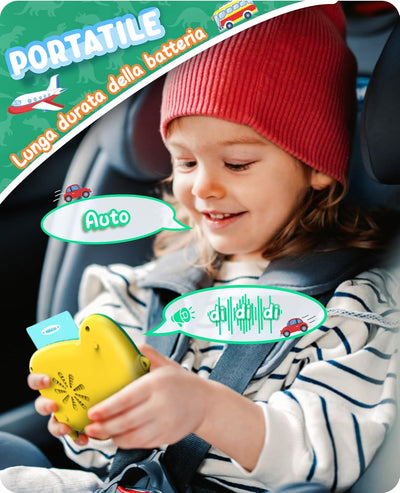 Talking Educational Flash Cards